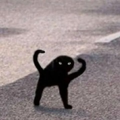 yourshadow ฅ^._.^ฅ
