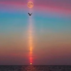 Chez  Cee  🫸❤️‍🫷Da bomb  👑 🩷🩵💚🩶🤍🪽🩰🌹🖋🖕