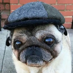 witchcraft with bloody dick