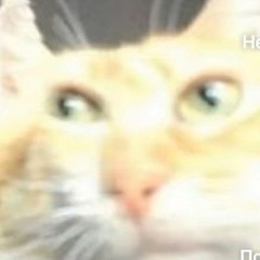 nigaGG_111