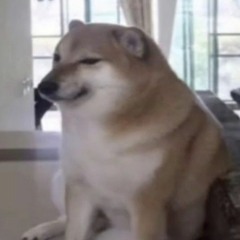 ^¬^