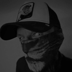 WildKat