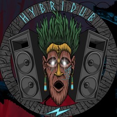 Hybridub