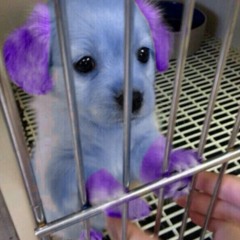 Cobalt