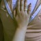 Ahmed Alyoyo's Fiancee