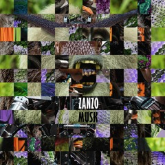 ZANZO
