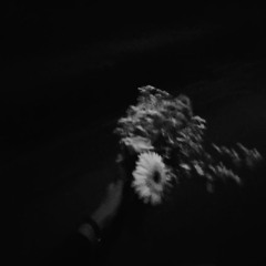 blᵁm