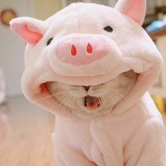 Nam myn