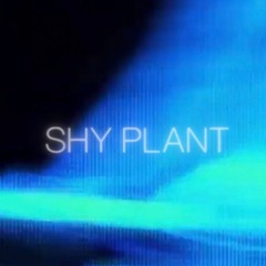 SHY PLANT
