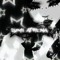ty_xler