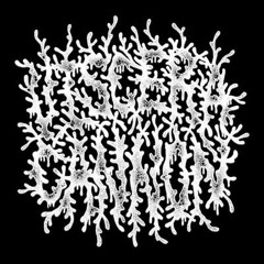 visceracannon