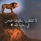 محمود ابراهيم