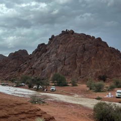 ابو فيصل - حايل