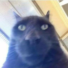 ñoo
