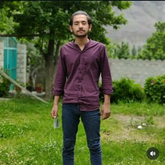Muhammad Aly