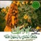 Dina Basher