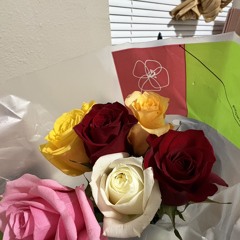 ᴅᴏʟʟᴜᴍɪɴᴀᴛɪɪɪ