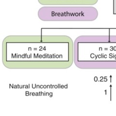Chronicdmtinhaler