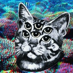 wildmoonchild