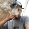 Gordin mp