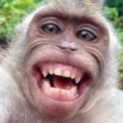 monke
