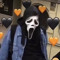 land._.sharkie