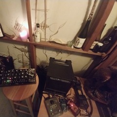 fine pleiadian leathers