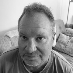 Peter V Nelson