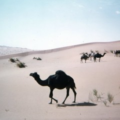 فرح