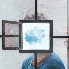 Nico cabaña