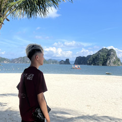 Nguyen Tran Anhh