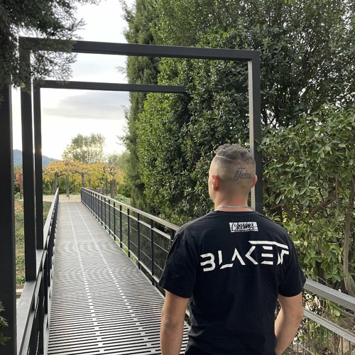 Blakeit, Ferran Heras  [Official]’s avatar