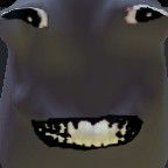 Grunt