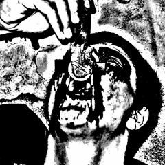 Fungorum