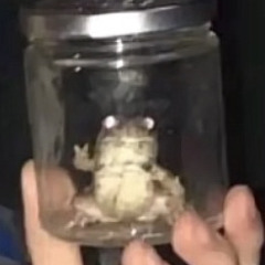 jizzberriescum master 420 | 69