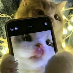 삐