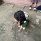 Manh Thien Truc