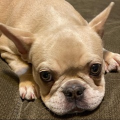 Vinny0710