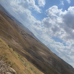liel katzav