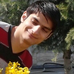 behzad amelii