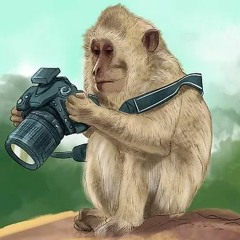 monke