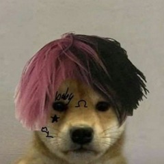 Sebxs