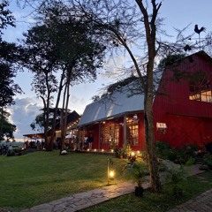 Shamba Cafe