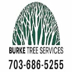 Burke Tree Services