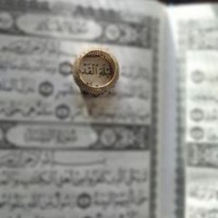 Asmaa Samy