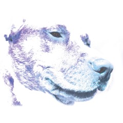 Muttzilla