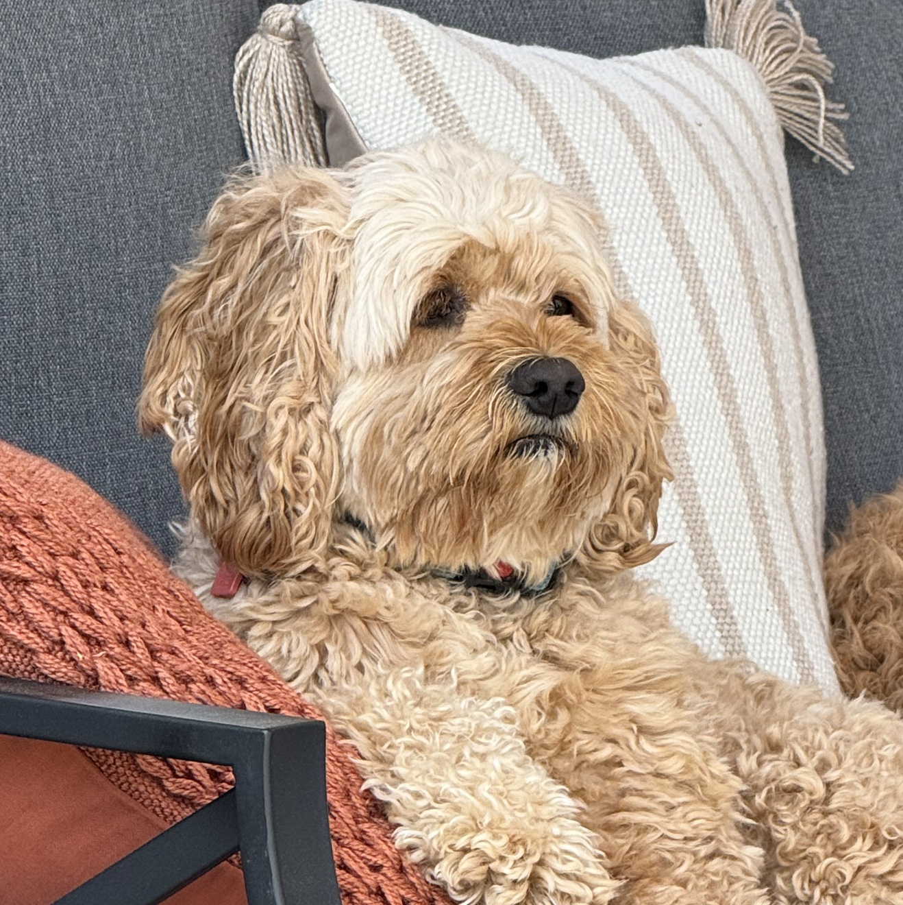 Kat Stevens & Fray Podcast