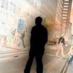 big massive juicy ant