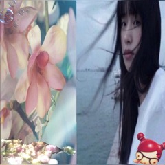 員.вэшка☘️៹ ࣪˖⁩