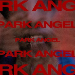Park Angel